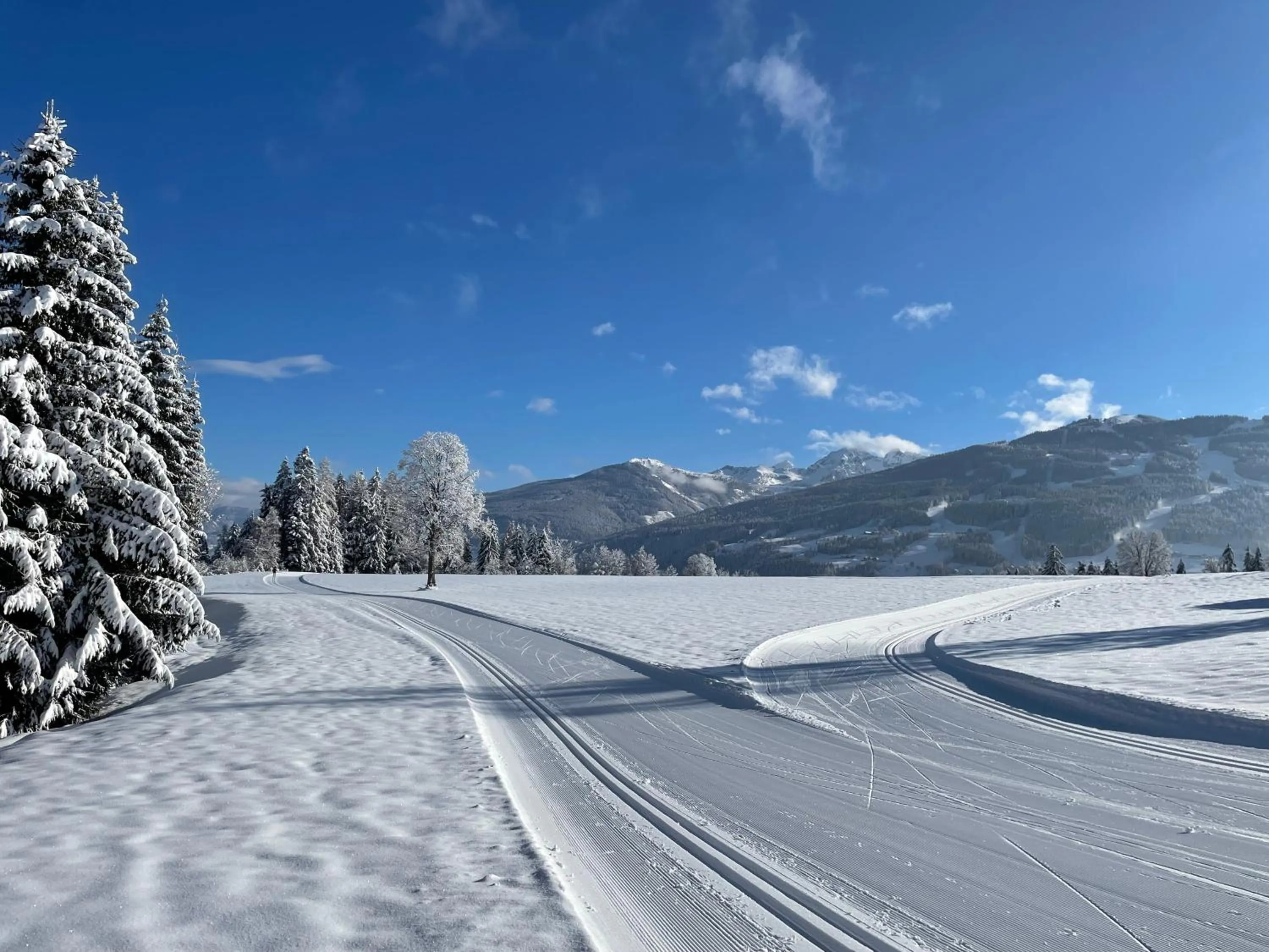 Natural landscape in Burglehnerhof