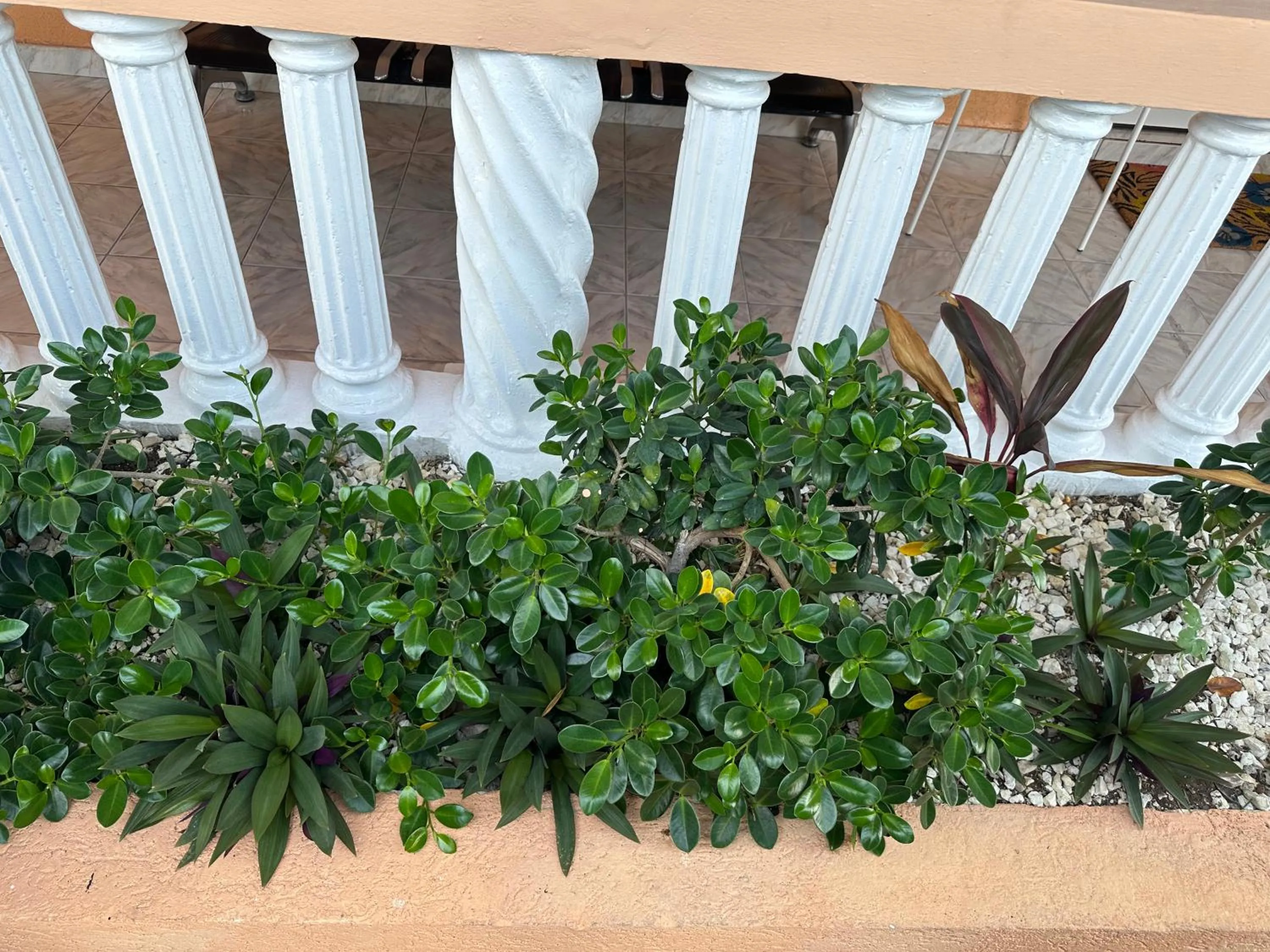 Garden in Sleeps2 - Private Pool - King Bed - AirCon