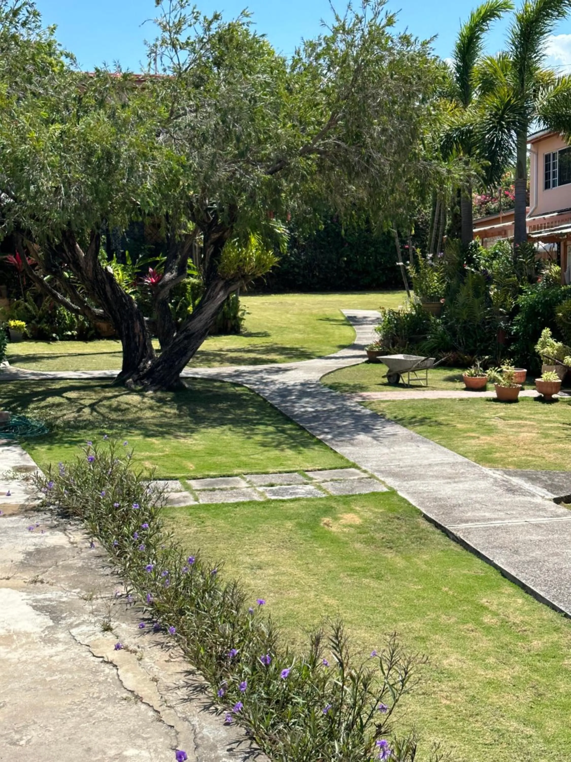 Garden in Sleeps2 - Private Pool - King Bed - AirCon