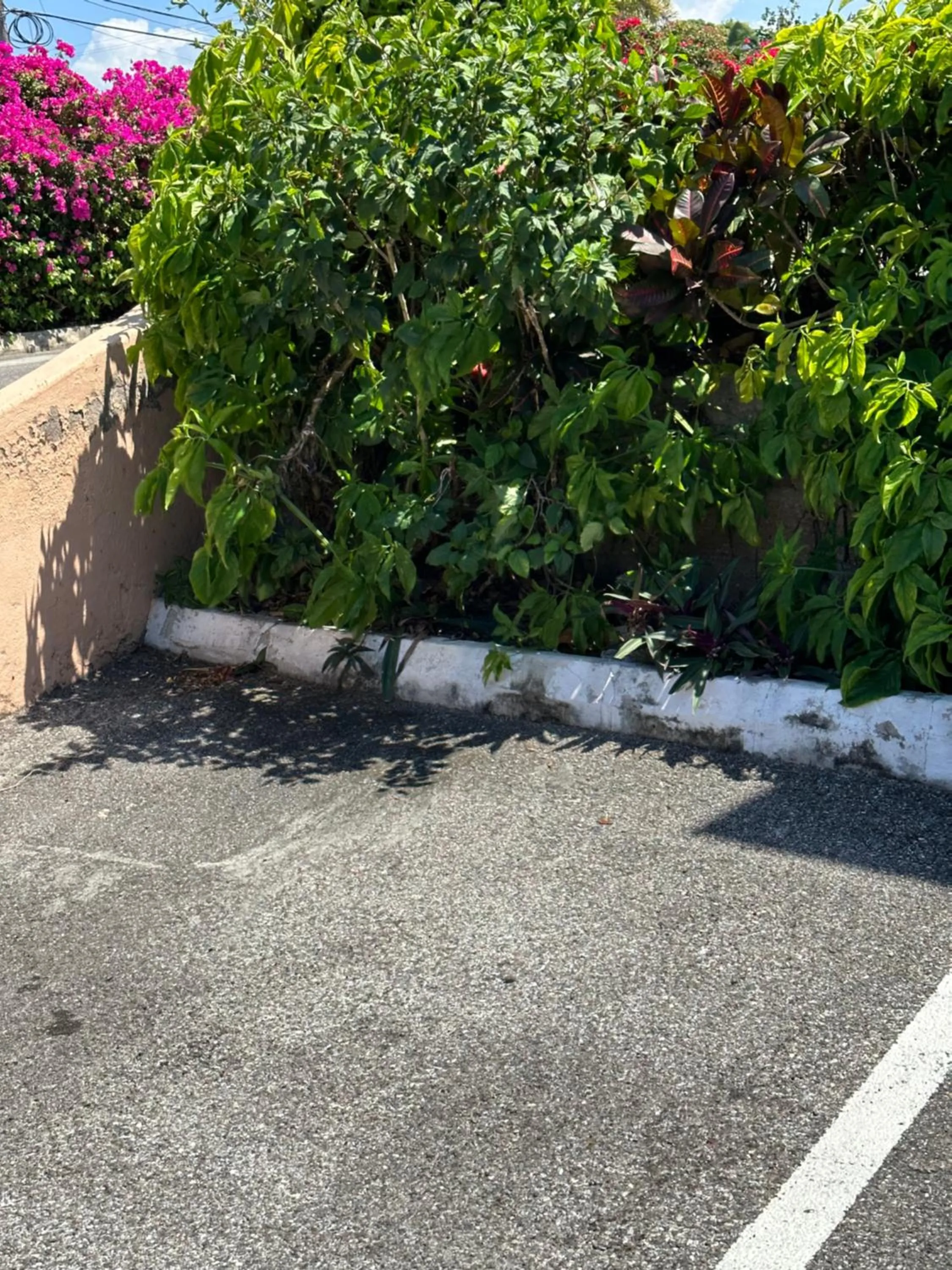 Spring in Sleeps2 - Private Pool - King Bed - AirCon