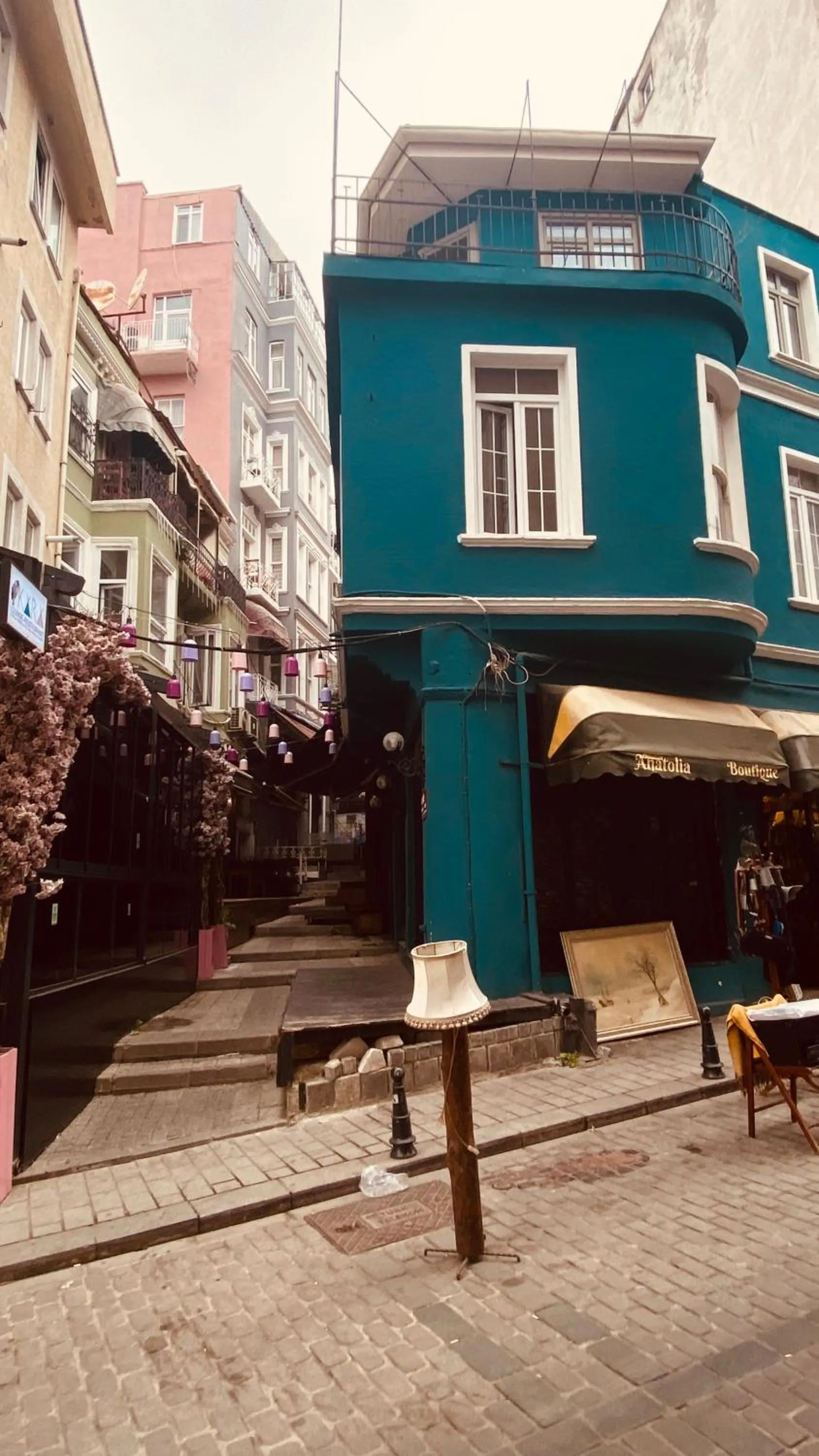 Day in The House Company