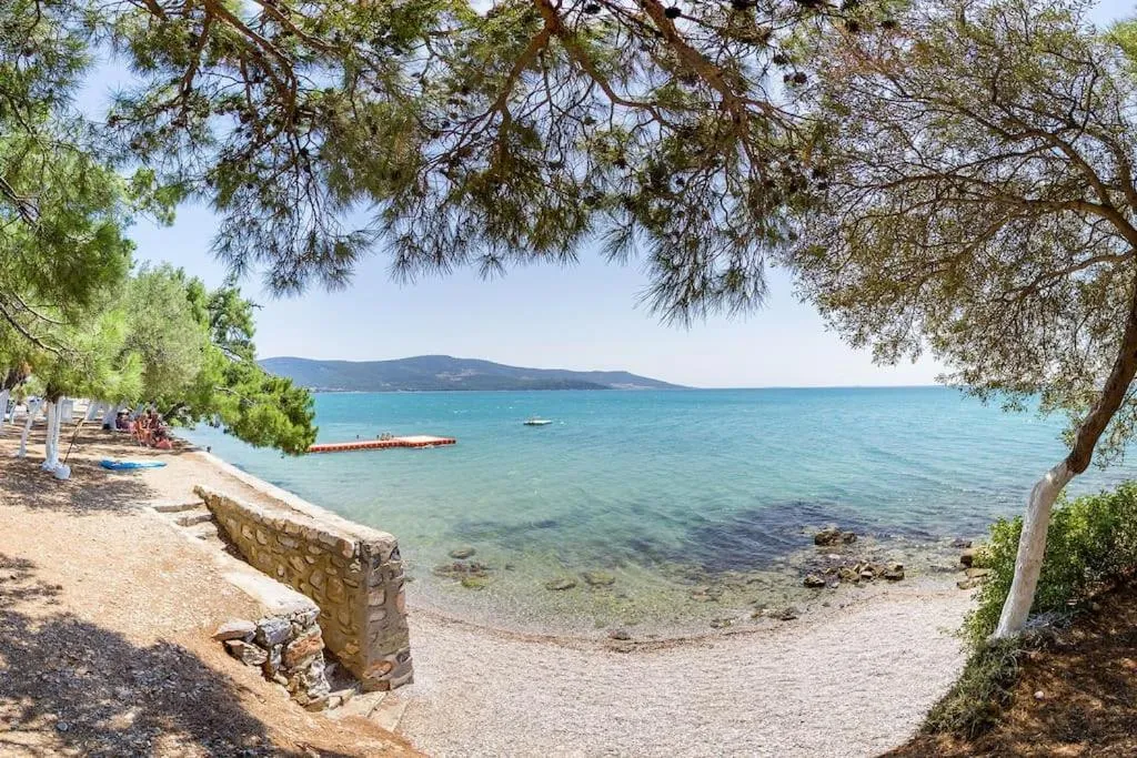 Natural landscape in AKBÜK Palace Resıdence
