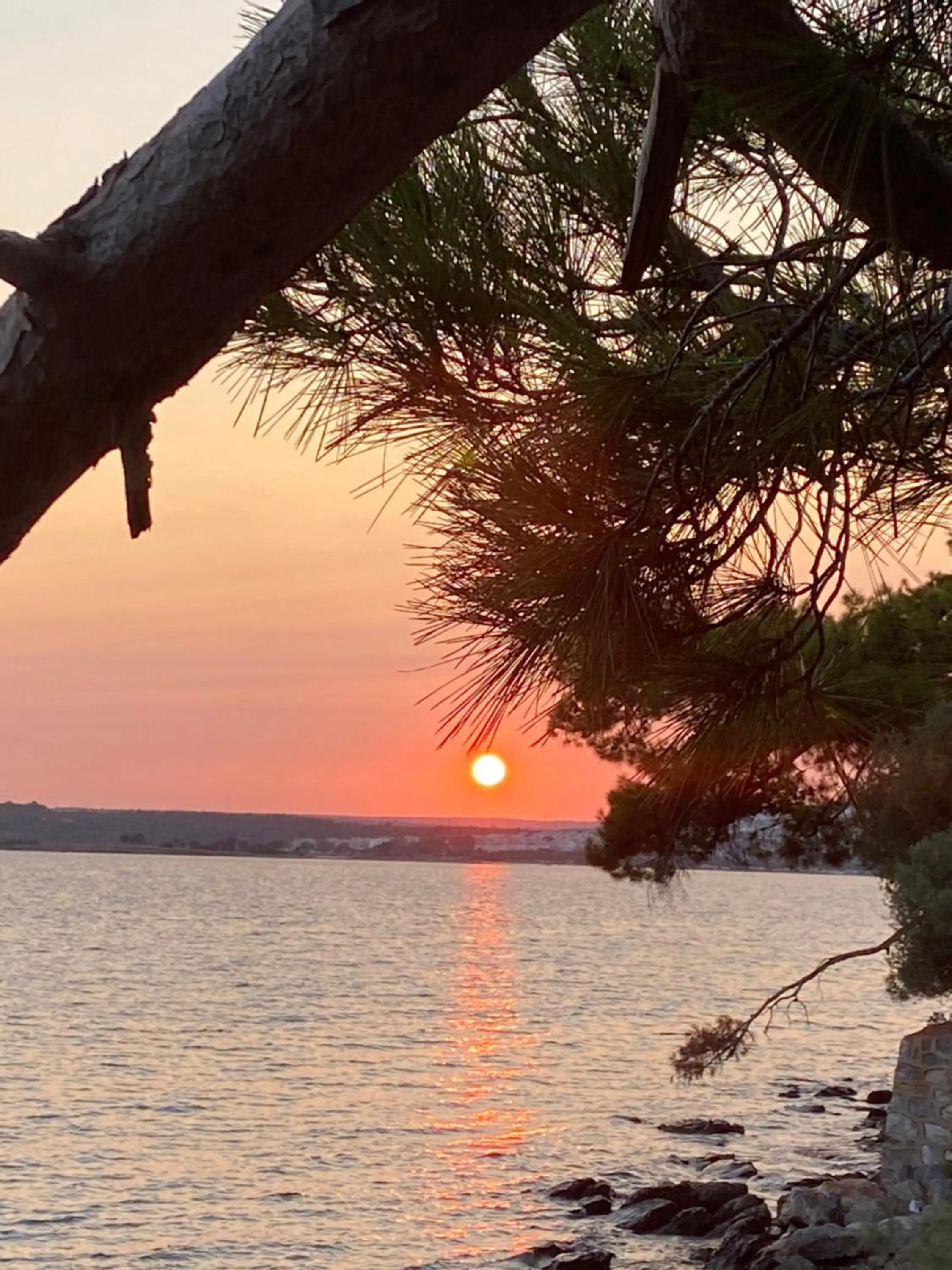 Natural landscape in AKBÜK Palace Resıdence