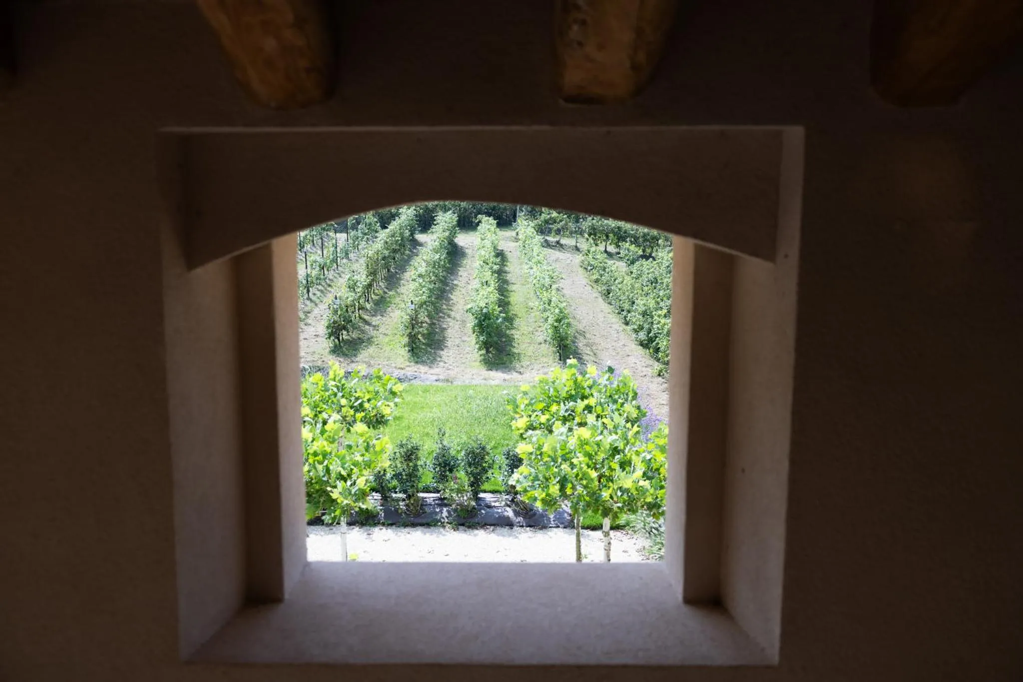 View (from property/room) in Casa Valdo Country House