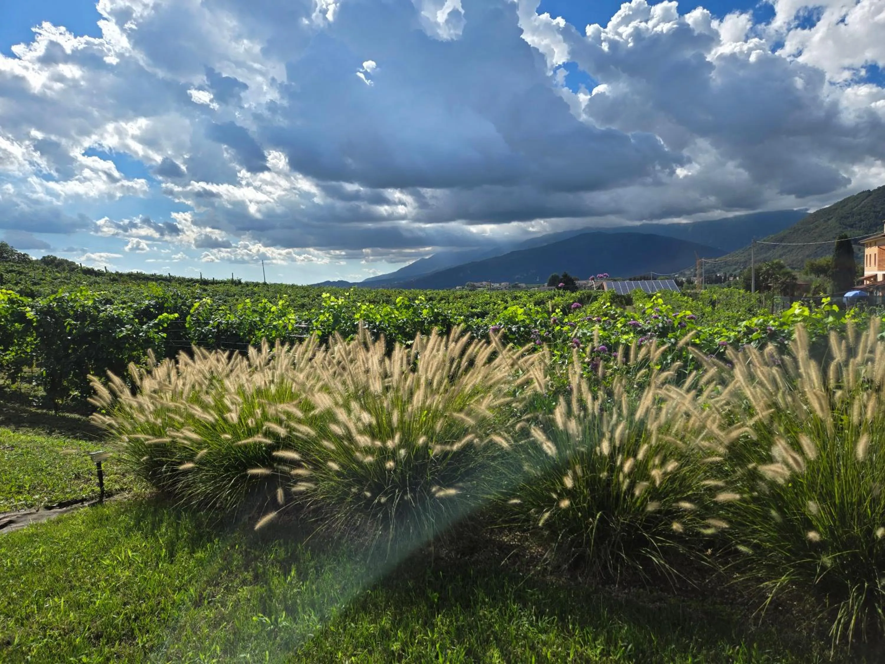 Garden view in Casa Valdo Country House