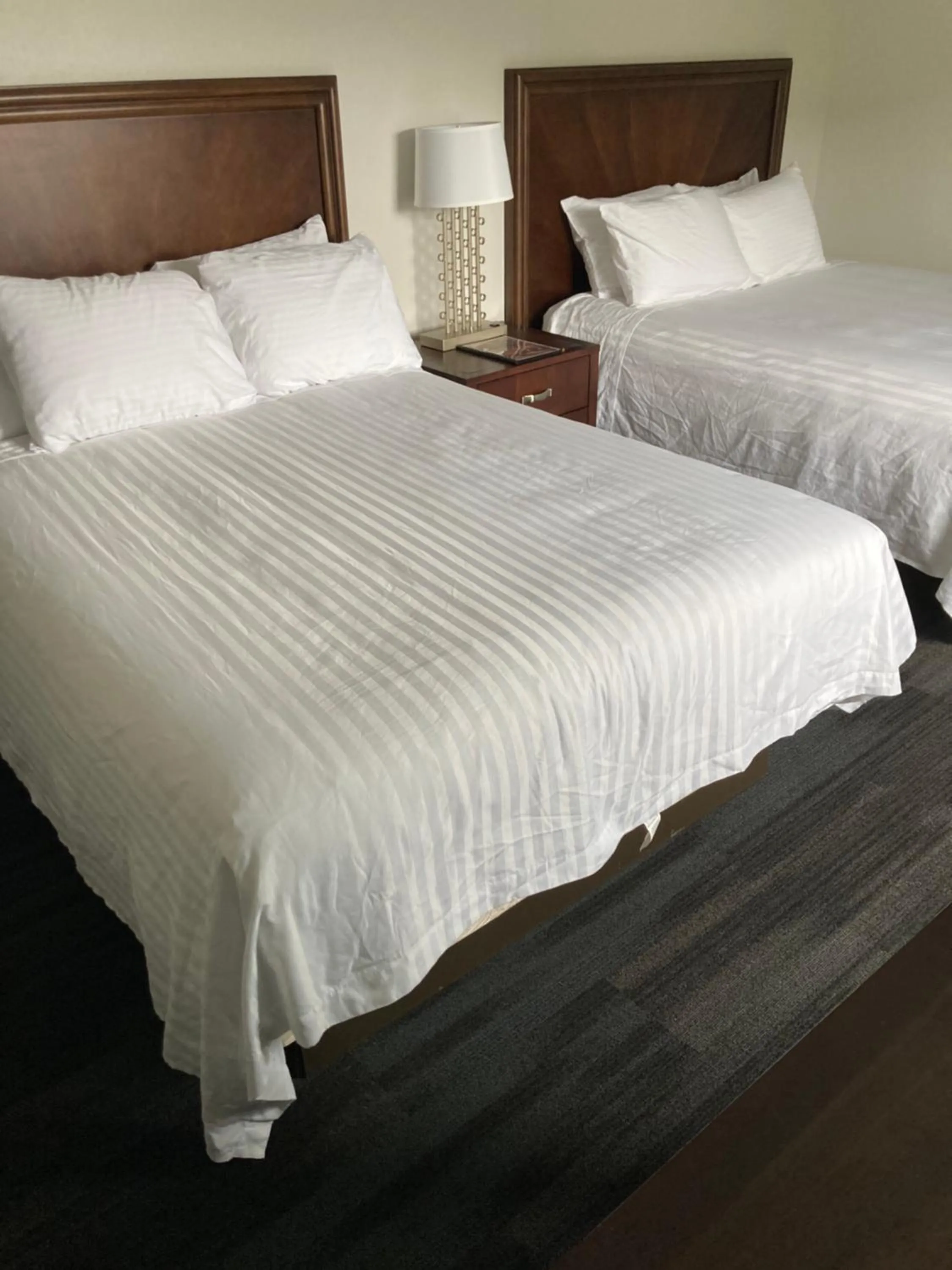 Photo of the whole room, Bed in Elker Inn & Suites